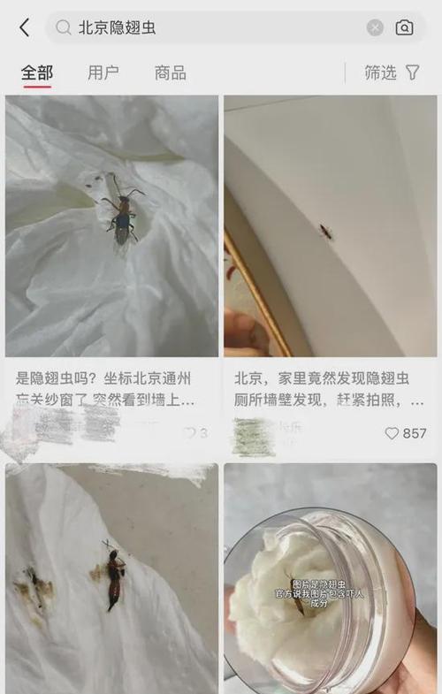 悠长假期的抓虫技巧（如何在假期有效地抓虫？）