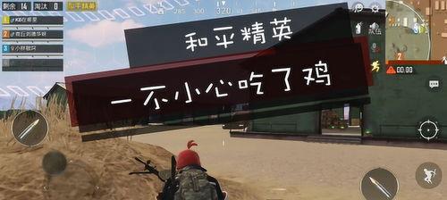 直播吃鸡和平精英小新怎么玩,直播吃鸡攻略，掌握技巧轻松上分