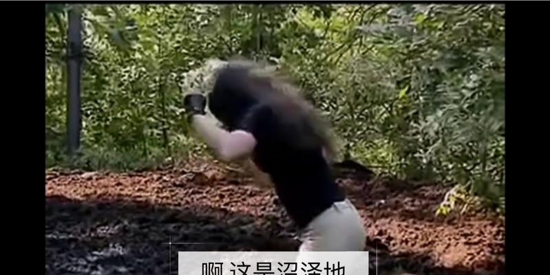 拯救陷入沼泽游戏攻略大全（揭秘游戏中的隐藏技巧与窍门，助你摆脱沼泽陷阱）