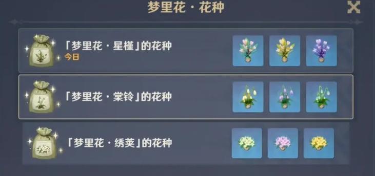 花庭2原神攻略（高效游玩指南，让你事半功倍！）